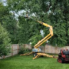 Soil Testing and Treatment in Aurora, IL